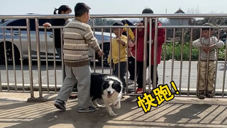 เมื่อเจ้าตูบเผชิญหน้ากับเด็กน้อยที่มามุงดู จะเกิดปฏิกิริยาอะไรขึ้นนะ?