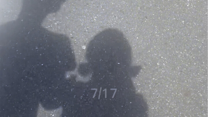 Nhật ký tự làm hoa đường