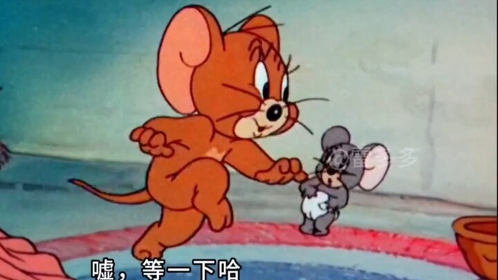 บันทึกการเลี้ยงลูกของเจรรี่