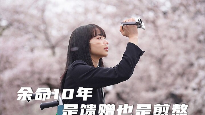 Following “A Love Story in Bouquet”: The Most Tear-Jerking Film—Always Crying Over Pure Love