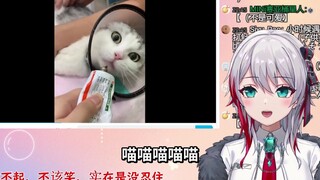日本天然小姐姐看《对不起，不该笑，实在是没忍住 》