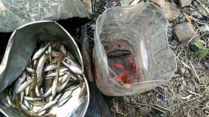 Hari Kesembilan Bertahan Hidup Di Alam Bebas, Perangkap Yang Kupasang Berhasil Besar Membuat Makan Malamku Kaya Rasa