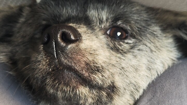 ผลลัพธ์ของการมีความเห็นอกเห็นใจมากเกินไป