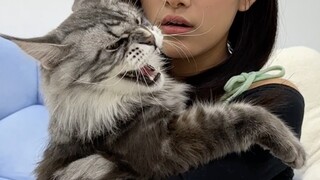Didn't you think about the consequences when you bit me?