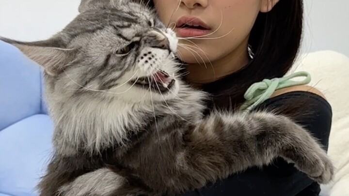 Didn't you think about the consequences when you bit me?