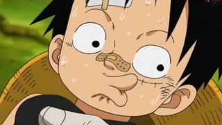 Nhìn mặt luffy trông "uy tín" như này mà cứ bảo nói dối