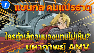 นายว่าใครตัวเล็กจนมองแทบไม่เห็น?
[แขนกล คนแปรธาตุ/ไฟลุก/AMV]_1