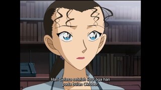 DETEKTIF CONAN: KISAH RENA MIZUNASHI
