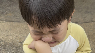 《历史总是惊人的相似》