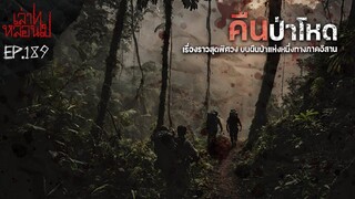 คืนป่าโหด เข้าไปตามหาคนหายในป่า แต่เกือบเป็นผู้สูญหายไปอีกราย [เล่าเรื่องผี]