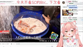 【Hiiro】猫猫看「南亚美食难道真的没有底线了？！」