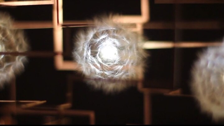 "Pick 999 dandelions, make them into a romantic lamp, and give it to you"