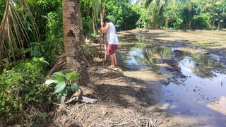 #small farm