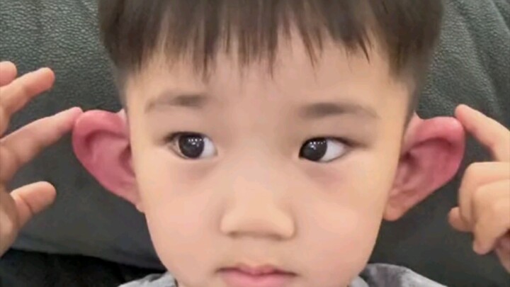 Baby’s Mosquito Crush: Turns Into Big-Eared Tootoo!