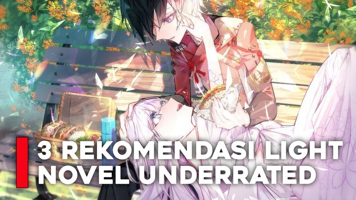 3 Rekomendasi Light Novel Underrated