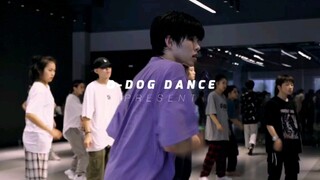 【رقصة من تصميم ليو جون】لا تبدأ الآن - ليو جون