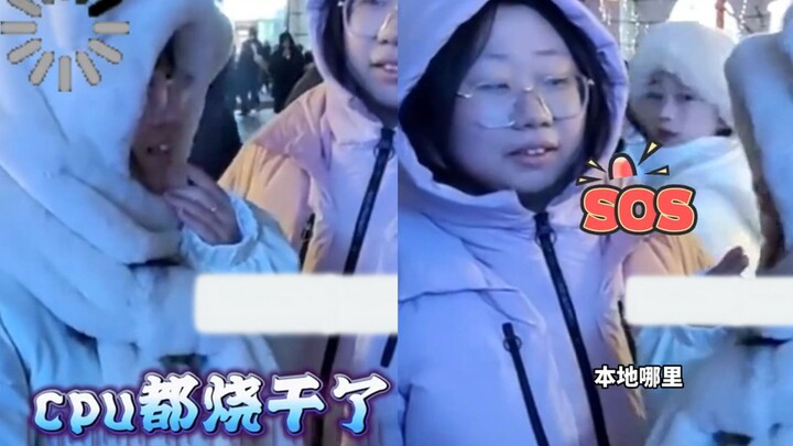 Cô nàng “củ khoai nhỏ” miền Nam giả làm người bản địa ở Cáp Nhĩ Tân, bị anh trai东北 nhận ra ngay lập 