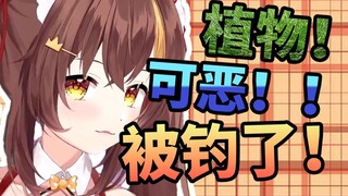 【冰糖IO】可以进入冰糖的小学吗？