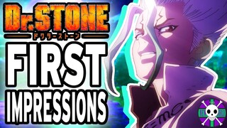 STONE WORLD! | Dr. Stone Episode 1 Review