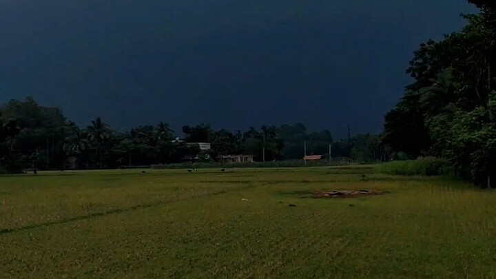 wonderful weather