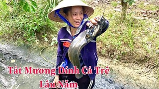 Tát Mương Vườn Lâu Năm Dính Bầy Cá Trê Khủng Đem Bán Rẻ Cho Bà Con | NĐMT#151