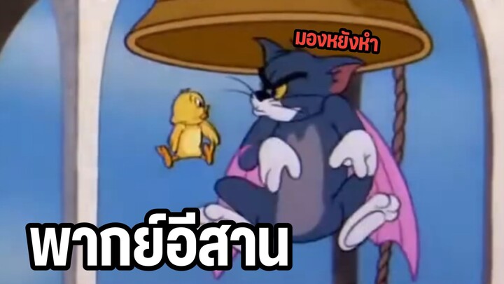 Tom and Jerry 3ภสค ฉากฮาๆ พากย์อีสาน