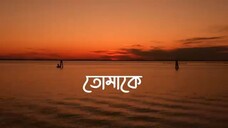 Tumi Amar Onek Shokher - Piran Khan ft. Jony (Lofi Remake) - তুমি আমার অনেক শখের