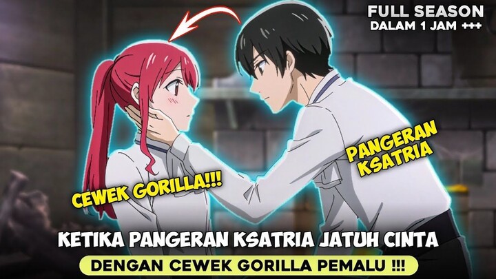 SELURUH ALUR CERITA ANIME GORILLA NO KAMI SEASON 1 - KETIKA KSATRIA JATUH CINTA