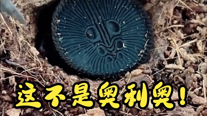 一个长得像奥利奥饼干的生物