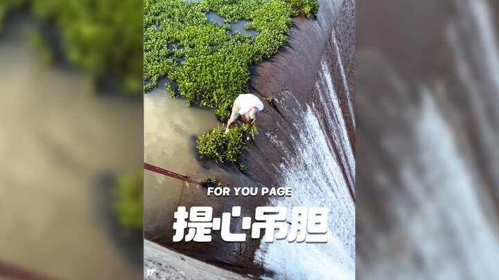 网友评选的今年“最让人提心吊胆”的视频‼️