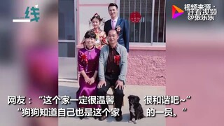 小两口结婚拍全家福 狗狗蹑手蹑脚悄悄入镜：本汪也是这个家的一员
