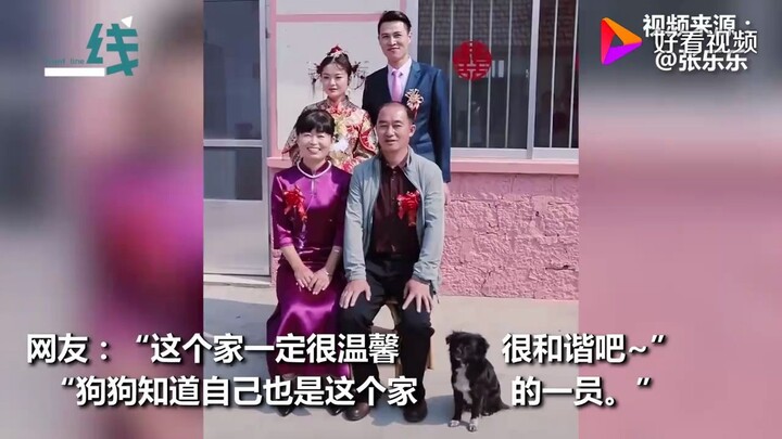 小两口结婚拍全家福 狗狗蹑手蹑脚悄悄入镜：本汪也是这个家的一员