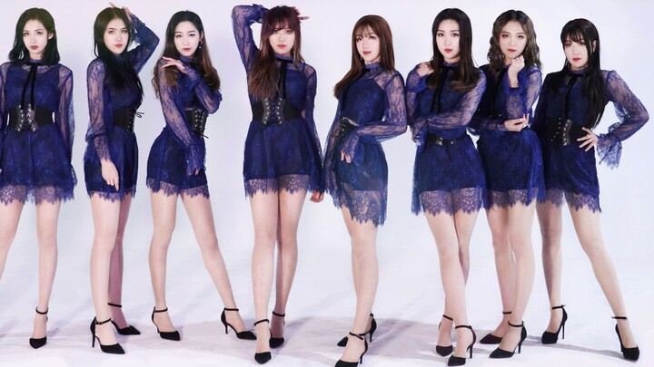 [Nightingale Army] ♡Miss170 Team♡9 goddesses? Glue with long legs all over the screen--NineMuses cov