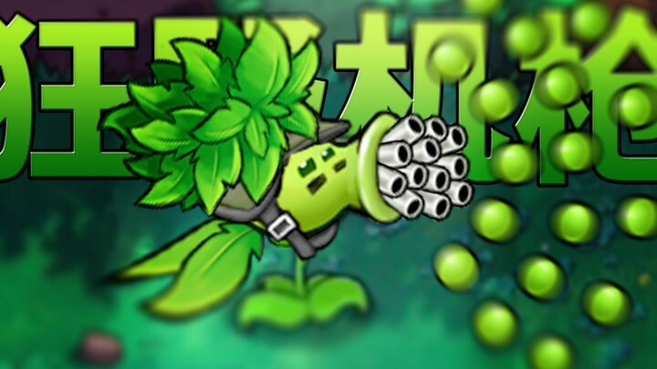 Anime lượng đậu Hà Lan