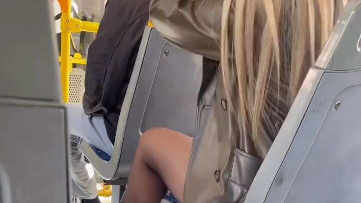 นกกระจิบใหญ่กับลูกแมวตัวเล็ก