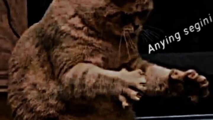 wibu luh 📸🧐kok di ulang jangan foto