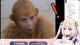 日本萝莉第一次看西游记 学孙悟空一起猴叫