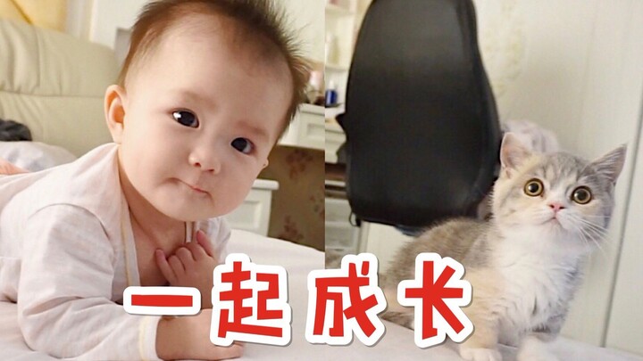 The cat parent sighs: “My cat already helps me take care of the baby!”