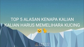 Top 5 Alasan Kenapa Kalian Harus Memelihara Kucing..😺🐈