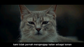 isi hati seorang kucing dubbing wibu