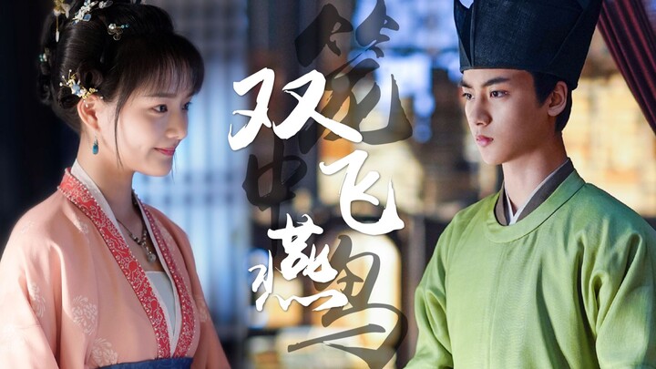 【赵徽柔&梁怀吉】怀柔版双飞燕|原著向|本是笼中鸟 痴愿双飞燕【任敏&边程】