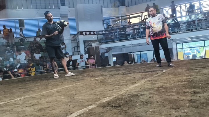 new mendez last fight loss duke hulsey grey di na nakaporma sa kalaban bawi nextime 😅 #sabongislife