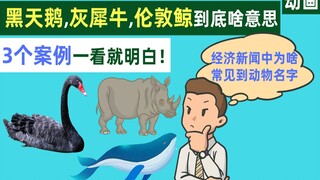 黑天鹅，灰犀牛，伦敦鲸，经济中常见的动物名词到底啥意思，几个案例一看就明白【动画】