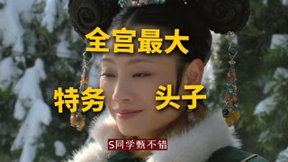 皇城十二宫，宫宫有我人【甄嬛传 中译中】270一个人，就是一群牛马！最大的特务头子