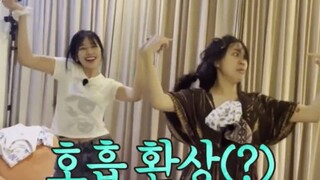 IVE安宥真 x 李英智《LE SSERAFIM - FEARLESS》舞蹈视频公开！