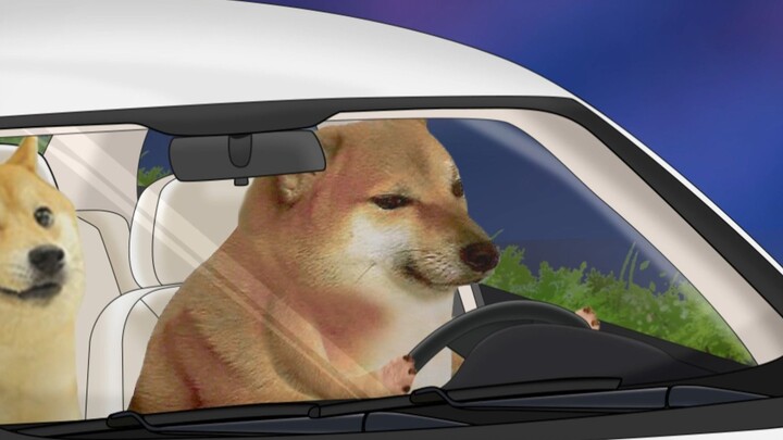 ชีมส์ พวกเขาไม่ใช่เพื่อนแท้เลย