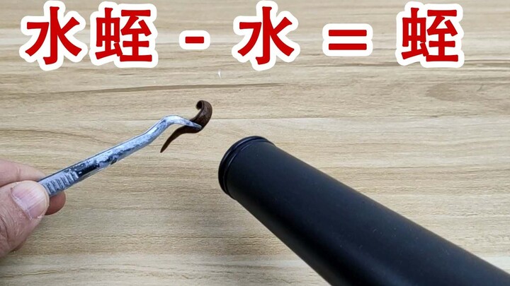 Leeches become dried leeches. Can they be dried by using a powerful hair dryer?