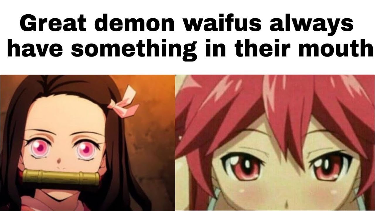 Anime Memes  Best Waifu  Facebook
