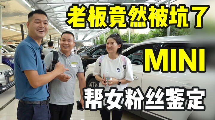 Helping a young woman from Yunnan identify a MINI sports car, but the boss fell for it? See how much