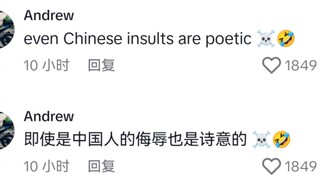 中式口吐芬芳再次震撼外网